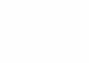 Hook Logo - White